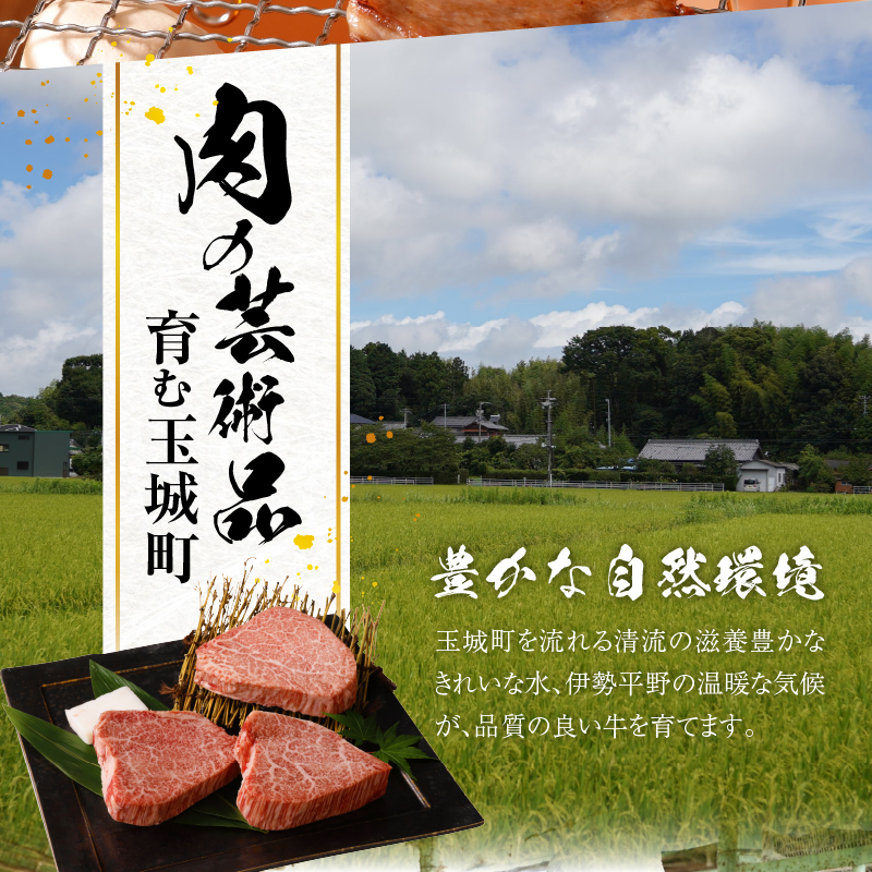 玉城町産 松阪牛焼肉食べ比べ(霜降り・赤身)800g