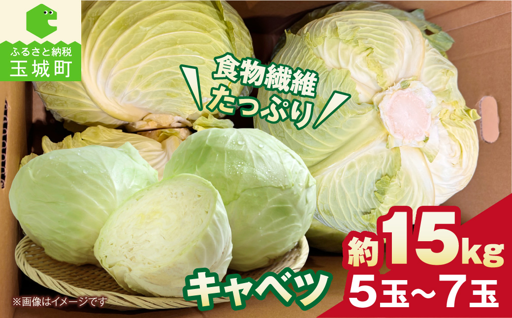 【先行予約】キャベツ 約15kg
