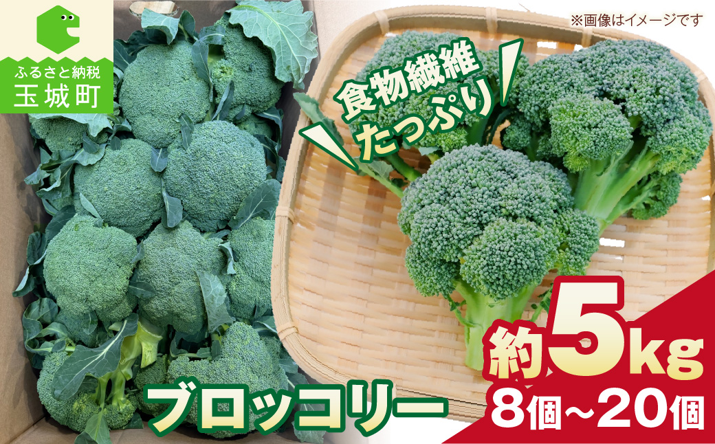 【先行予約】ブロッコリー 約5kg
