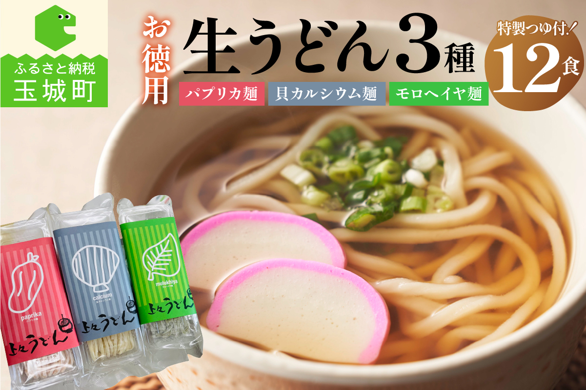 お徳用(簡易包装) 生うどん3種12食詰め合わせセット