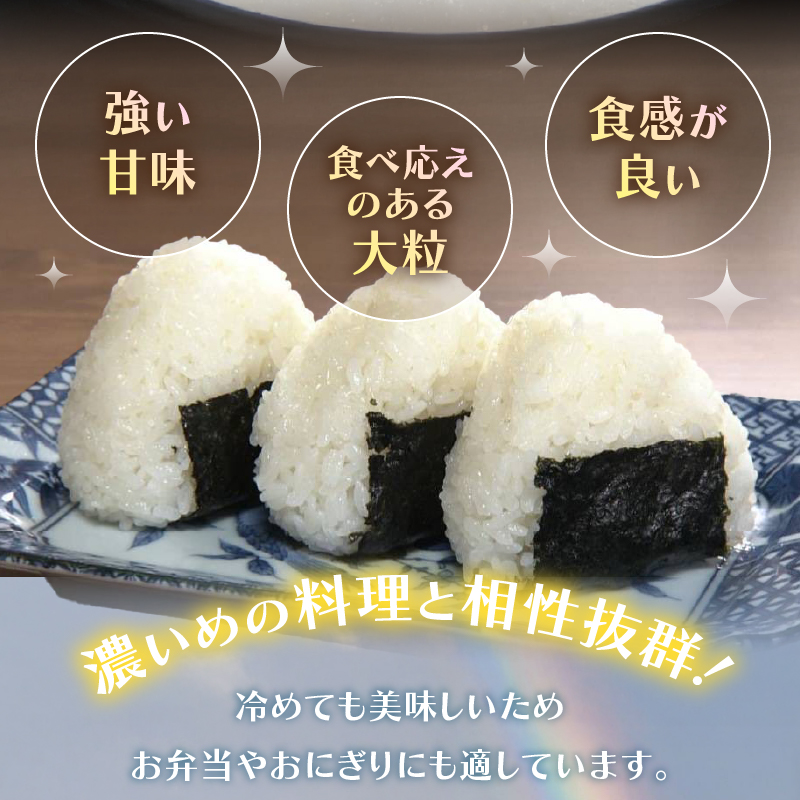 令和7年虹のきらめき10kg