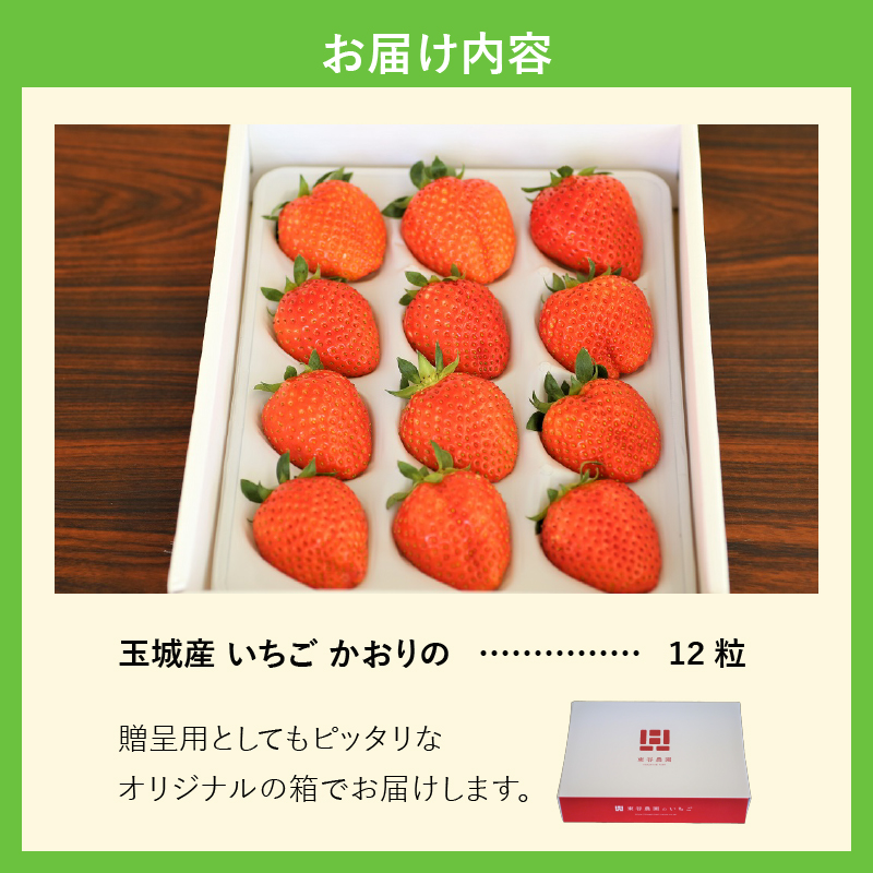 三重県玉城産 いちご 「かおりの」 12粒入り