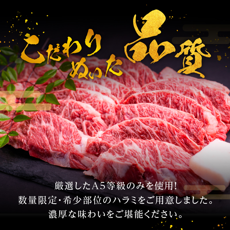 玉城町産 松阪牛特選ハラミ焼肉用 300g