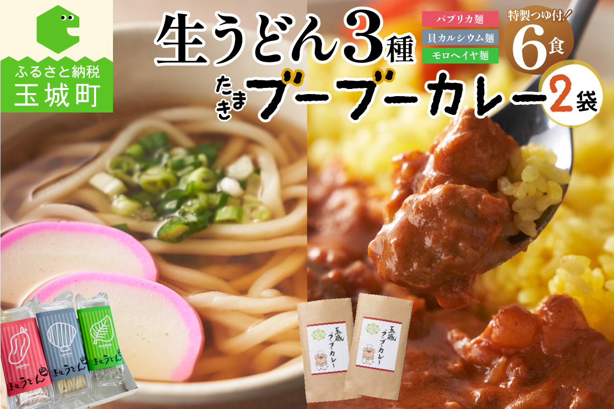 贈答用オリジナル箱入り 3種の生うどん6食(3食入り×2箱)＆玉城ブーブーカレー(170g×2袋)セット