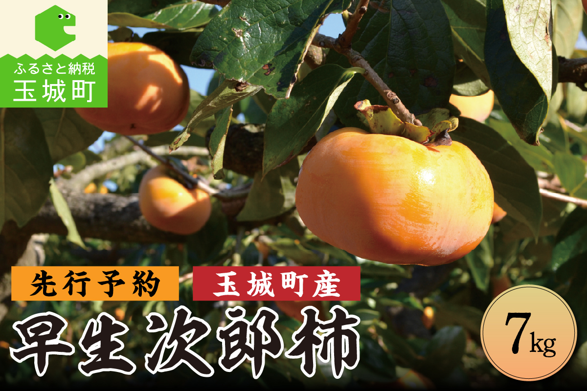 [先行予約][10月中旬より順次発送]玉城町産 早生次郎柿 7kg