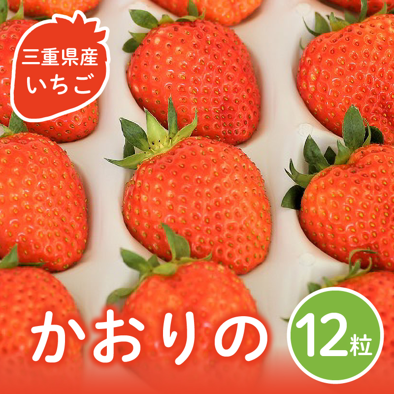 三重県玉城産 いちご 「かおりの」 12粒入り