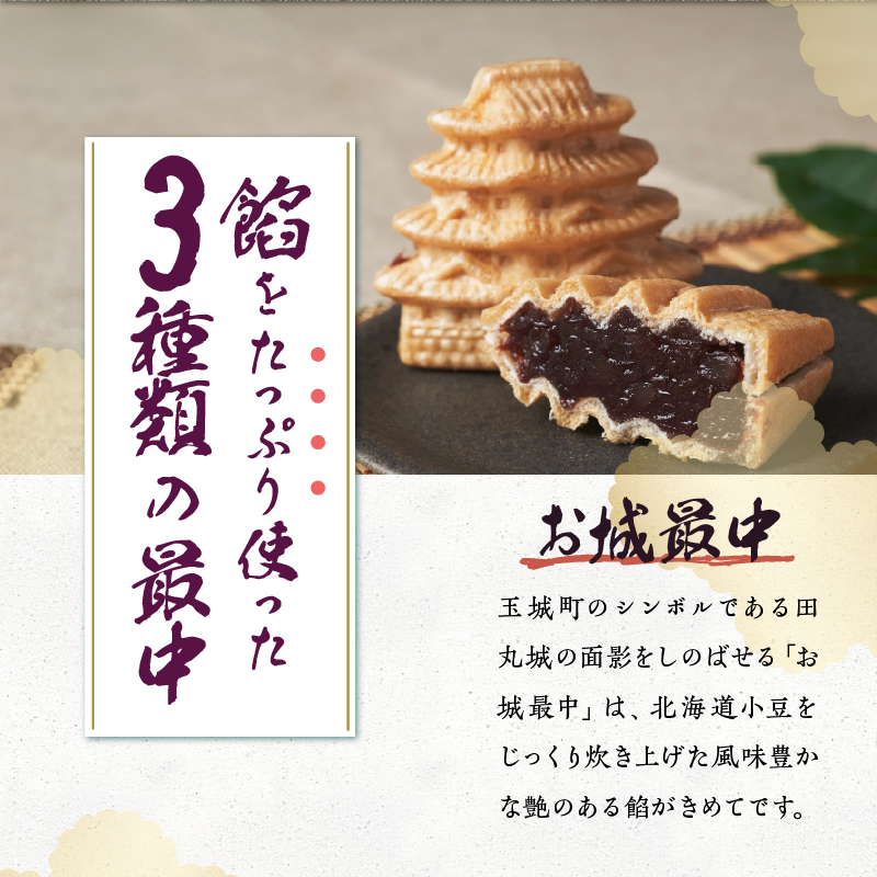 最中ざんまい14個入り(お城最中7個・姫最中3個・金柑入りお城最中4個）