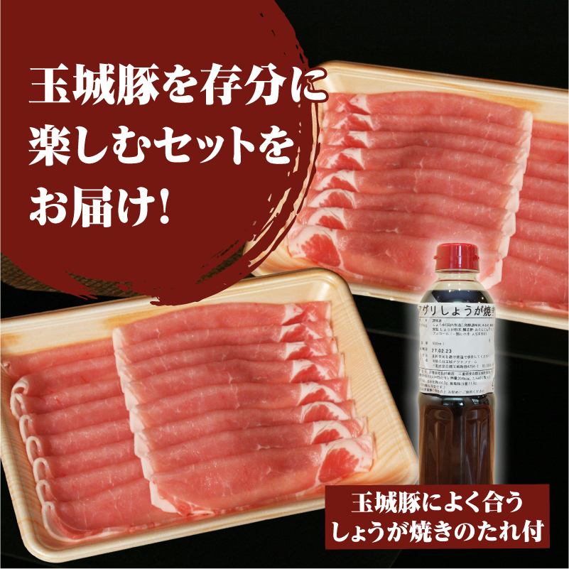 玉城豚ロース生姜焼きセット