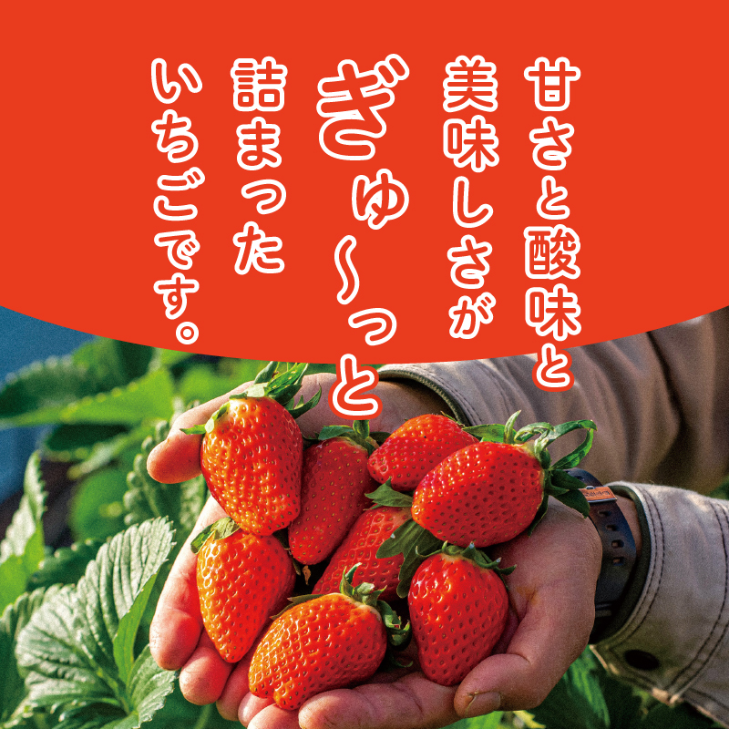 荳蛾咲恁邇牙沁逕」 縺縺。縺 縲檎ォ蟋ォ縲12邊貞・繧