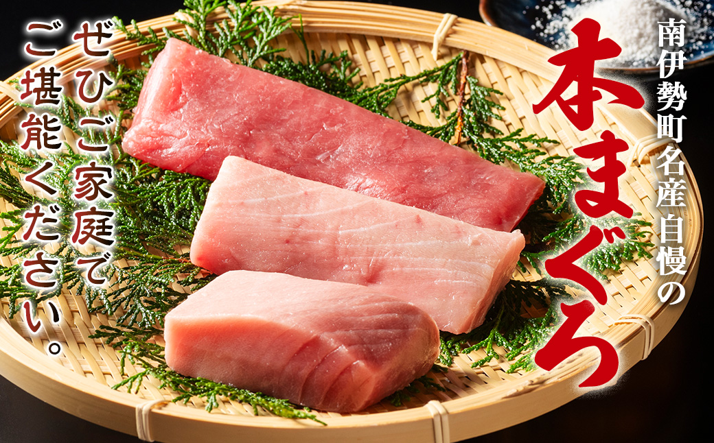 本マグロ 赤身 400g ／本マグロ 本鮪 マグロ まぐろ クロマグロ 専門店 ブランド 切り落とし 切り落し 不揃い 規格外 鮪 刺身 刺し身 お刺身 三重県 伊勢志摩 南伊勢町 伊勢志摩まぐろ食堂 20000円 二万円 2万円