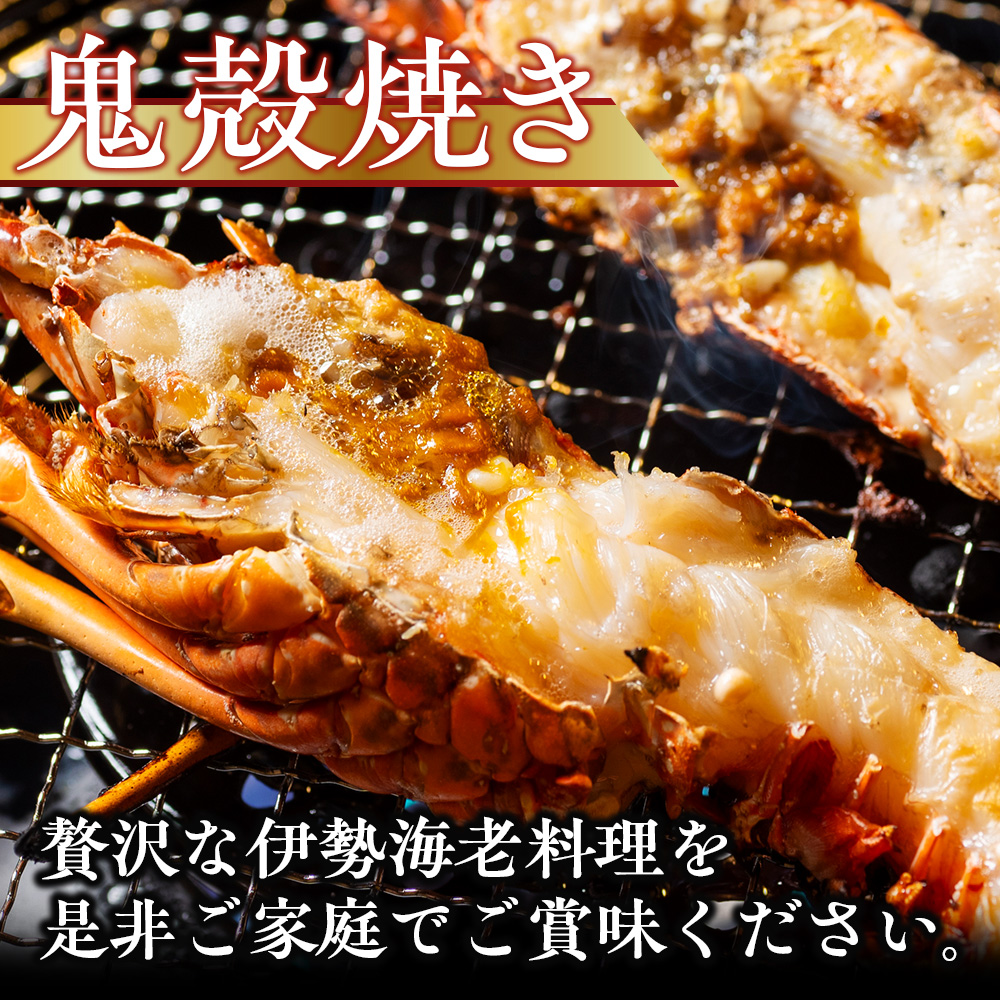 冷凍 伊勢海老 約800g 伊勢えび 産地直送 天然 国産 海鮮 新鮮 刺し身 味噌汁 焼き物 ギフト 贈答 えび 海老 ebi いせえび 高級食材 お歳暮 お正月 年末年始 三重県 南伊勢 伊勢 志摩