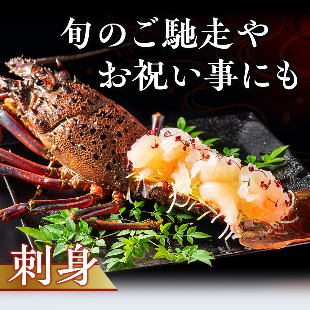 冷凍 伊勢海老 約800g 伊勢えび 産地直送 天然 国産 海鮮 新鮮 刺し身 味噌汁 焼き物 ギフト 贈答 えび 海老 ebi いせえび 高級食材 お歳暮 お正月 年末年始 三重県 南伊勢 伊勢 志摩