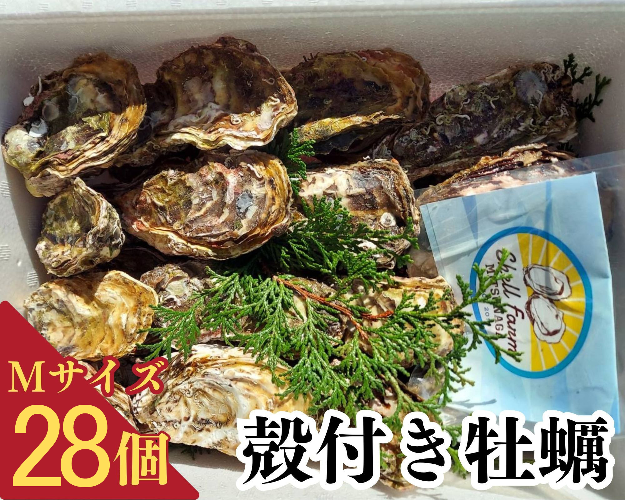 （冷蔵） 牡蠣 かき M サイズ 28個 空コース 加熱用 濃厚 新鮮 シェルファームみつなが セル牡蠣 真牡蠣 まがき カキ 鍋 牡蠣鍋 カキフライ 牡蠣フライ  BBQ 養殖 伊勢志摩 三重 南伊勢町
