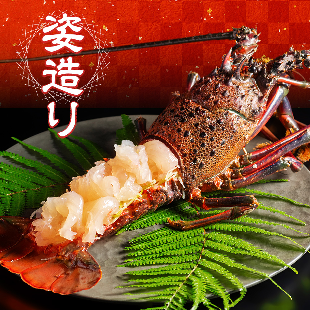 特大 活き 伊勢海老 Ｄコース 1尾 500〜600g 山金商店 伊勢えび エビ 海老 鮮魚 焼き物 汁物 海鮮 特産 海の幸 魚介 イセエビ 三重県 南伊勢町 伊勢志摩産 伊勢志摩産