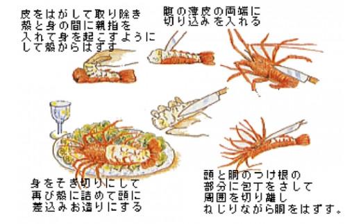 活き伊勢海老Cコース　5〜6尾（約1400〜1500g）　山金商店　／伊勢えび　イセエビ　伊勢志摩産