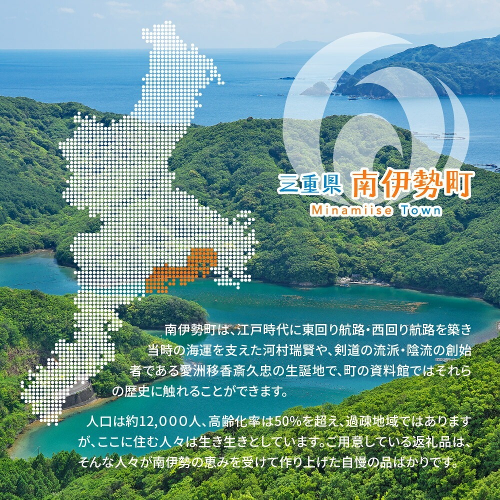 赤ワイン メルロー 2本 750ml 2024年産 南伊勢ワイン ワイン 酒 お酒 葡萄酒 日本ワイン アルコール 飲料 ぶどう 葡萄 贈答 ギフト 贈り物 プレゼント 海産物 角煮 ジビエ 肉料理 に合う 三重県 伊勢 志摩 南伊勢町