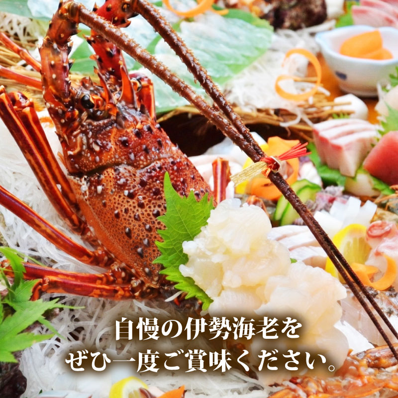 【冷凍】 伊勢海老 4尾 〜 6尾 約 1kg 活〆 山藤 えび 海老 ebi いせえび 伊勢えび 伊勢 魚 魚介 海鮮 海産物 海 特産品 うま味 旨味 海の幸 アウトドア BBQ 刺身 炭火焼 産地直送 国産 三重 南伊勢 伊勢志摩