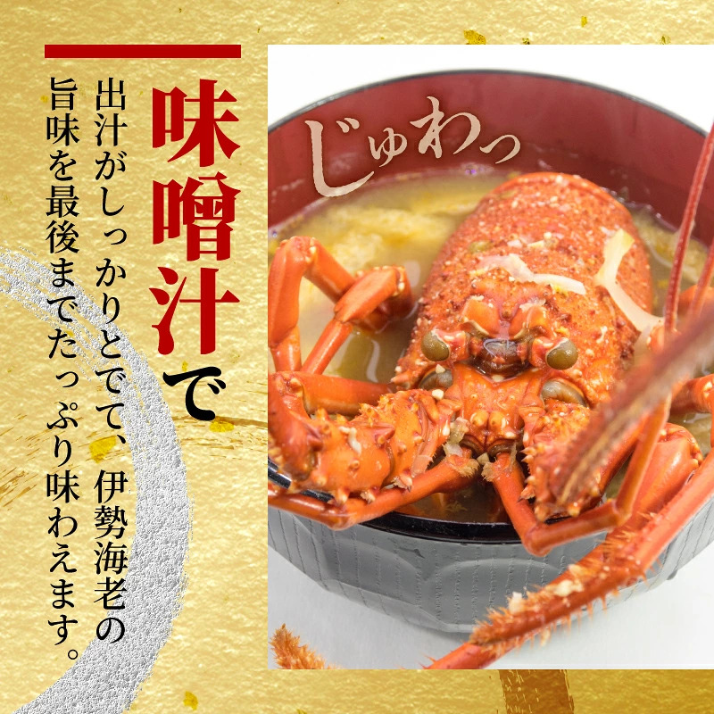 訳あり 伊勢海老 2~3尾 計 約800g (冷凍) / 加熱用 海鮮 海の幸 海老 伊勢海老 伊勢えび BBQ 焼き物 お味噌汁 鍋 魚介類 国産 産地直送 いせえび 鍋 ebi iseebi 30000円以下 三万円以下 海宝水産