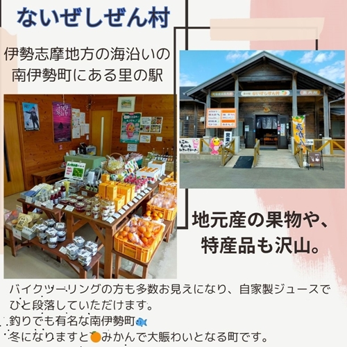 伊勢志摩産 手作り ジュース みかん セミノール 梅 しそ 4種類 10本 ／ ないぜしぜん村 飲料 mikan ミカン 蜜柑 うめ 濃縮 希釈 飲み物 送料無料 産地直送 三重県 南伊勢町