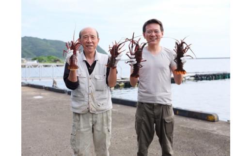 地物　活き伊勢海老大漁コース　10〜12尾（約2800〜3000g）　山金商店／伊勢えび　伊勢志摩