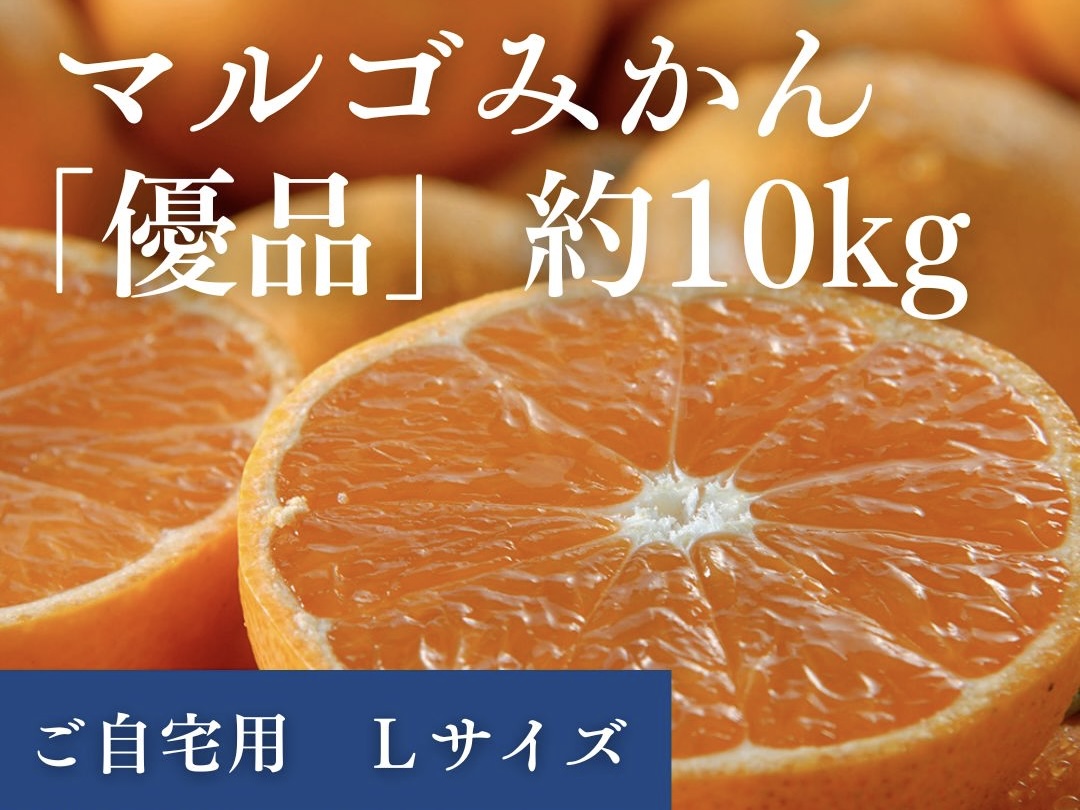 マルゴみかん（温州みかん） 優品 約10ｋｇ （Lサイズ） JA伊勢 ／ 家庭用 送料無料 産地直送 フルーツ 果物 ミカン 先行予約 三重県 南伊勢町