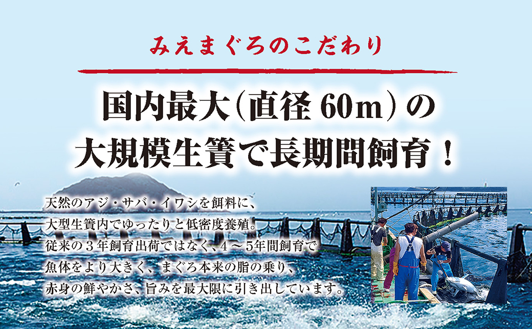 マグロ 詰め合わせ 900g 本まぐろ 本鮪 刺身 刺し身 マグロ丼 海鮮丼 大トロ 中トロ トロ 赤身 国産 養殖 みえまぐろ 三重 南伊勢町 伊勢 志摩