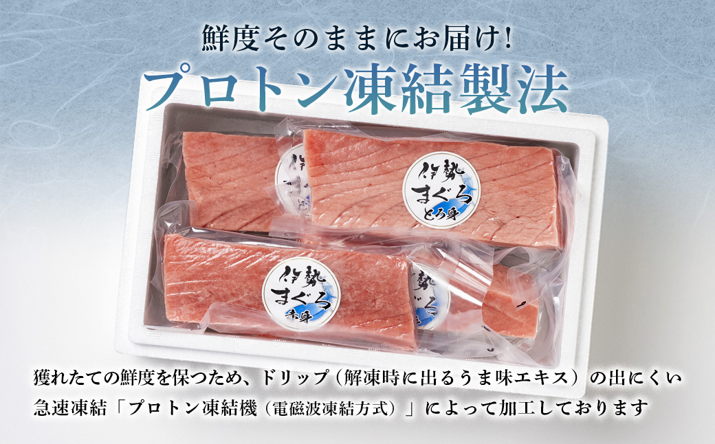 【冷凍】伊勢まぐろ（養殖本まぐろ）赤身・トロ身 計4個　約700g／鮪　本マグロ　トロ　三重県産