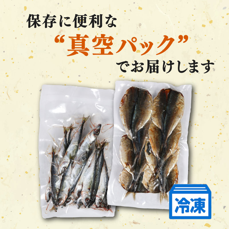 訳あり 干物 おまかせ セット 500g 冷凍 詰め合わせ ひもの 訳アリ 規格外 不揃い ヒモノ 開き 醤油干し みりん干し 朝食 和食 おつまみ アジ カマス シイラ ブリ 小サバ ウルメイワシ 三重県 伊勢 志摩 南伊勢町 山藤