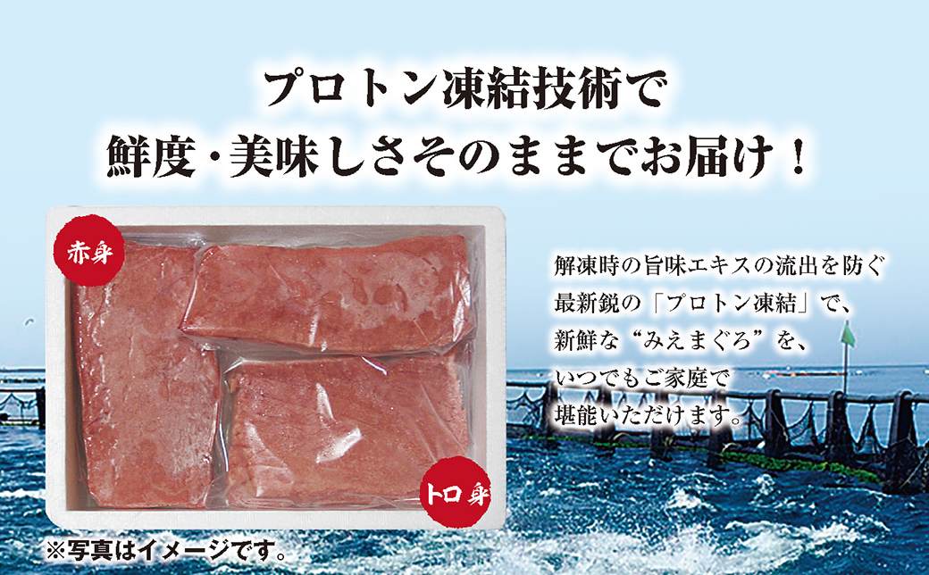 マグロ 詰め合わせ 300g 本まぐろ 本鮪 刺身 刺し身 マグロ丼 海鮮丼 大トロ 中トロ トロ 赤身 国産 養殖 みえまぐろ 三重 南伊勢町 伊勢 志摩