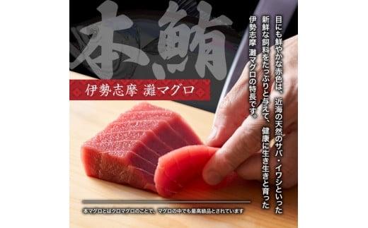 【No.518】（冷凍） 本まぐろ 赤身 中トロ 大トロ 詰合せ３～４人前 伊勢志摩まぐろ食堂 ／ 本鮪 お刺身専用 粗びき塩 三重県 南伊勢町