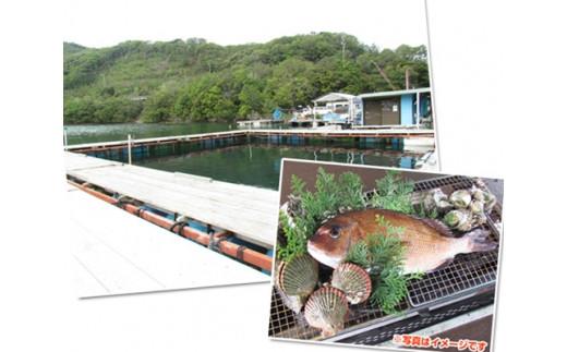 釣堀 お土産付 4名 利用チケット ／ 伊勢志摩 すみちゃん 釣り堀 城水産 ふるさと納税 利用券 寄付 おすすめ 魚 筏釣り 青物 真鯛 釣りフィッシング 鯛 つりぼり 三重県 南伊勢 高級魚