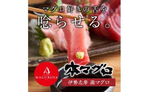 【No.518】（冷凍） 本まぐろ 赤身 中トロ 大トロ 詰合せ３～４人前 伊勢志摩まぐろ食堂 ／ 本鮪 お刺身専用 粗びき塩 三重県 南伊勢町