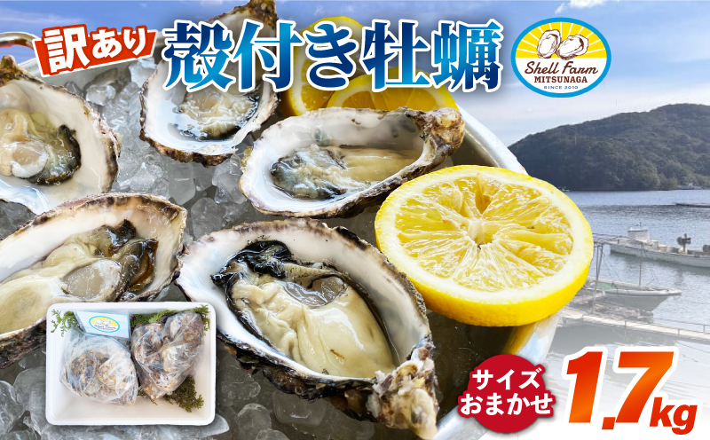 （冷蔵） 訳あり牡蠣 1.7kg ワケアリコース 加熱用 濃厚 新鮮 シェルファームみつなが セル牡蠣 真牡蠣 まがき カキ 鍋 牡蠣鍋 カキフライ 殻付き BBQ わけあり 訳アリ 養殖 伊勢志摩 三重 南伊勢町
