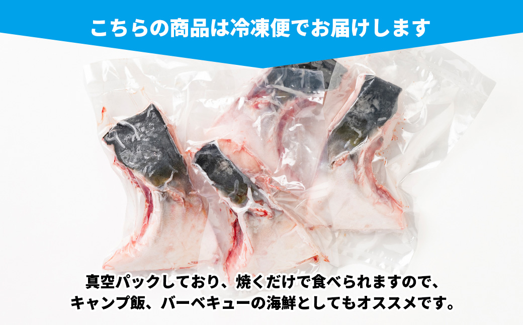 （冷凍）伊勢志摩産 ブリ カマ 1kg ／ 城水産 ふるさと納税 新鮮 鰤 寄付 おすすめ 美味しい 新鮮 産直 真空冷凍 塩焼き 煮付け バーベキュー キャンプ 三重県 南伊勢 鯛の町 迫間浦