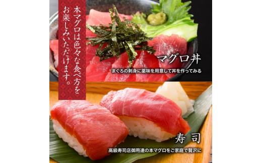 【No.518】（冷凍） 本まぐろ 赤身 中トロ 大トロ 詰合せ３～４人前 伊勢志摩まぐろ食堂 ／ 本鮪 お刺身専用 粗びき塩 三重県 南伊勢町