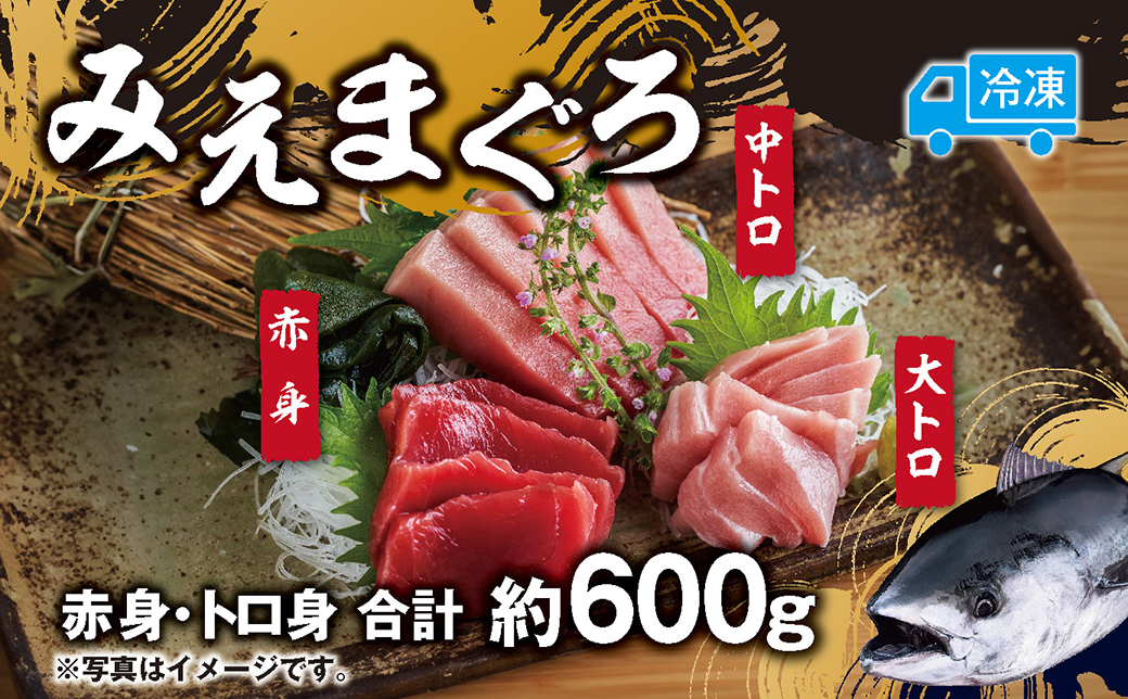 マグロ 詰め合わせ 600g 本まぐろ 本鮪 刺身 刺し身 マグロ丼 海鮮丼 大トロ 中トロ トロ 赤身 国産 養殖 みえまぐろ 三重 南伊勢町 伊勢 志摩