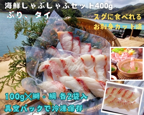 （冷凍） タイ ブリ カット済 海鮮 しゃぶしゃぶ 100g 各 2袋 計 400g ／ 伊勢志摩 城水産 まだい 真鯛 鰤 天然 スライス のっけ丼 お茶漬け 海鮮丼 豪快丼 産地直送