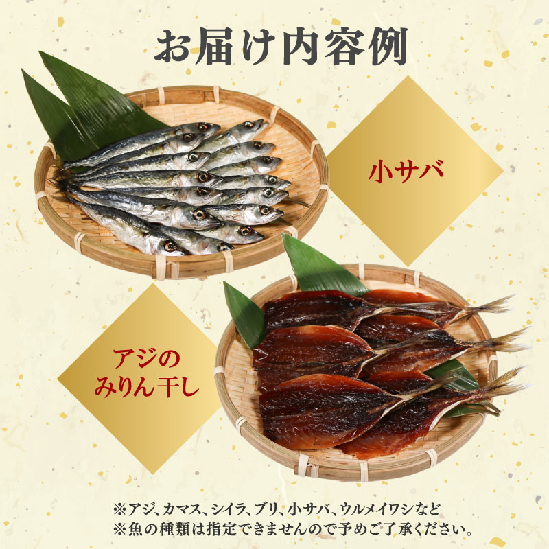 訳あり 干物 おまかせ セット 1.8kg 冷凍 詰め合わせ ひもの 訳アリ 規格外 不揃い ヒモノ 開き 醤油干し みりん干し 朝食 和食 おつまみ アジ カマス シイラ ブリ 小サバ ウルメイワシ 三重県 伊勢 志摩 南伊勢町 山藤