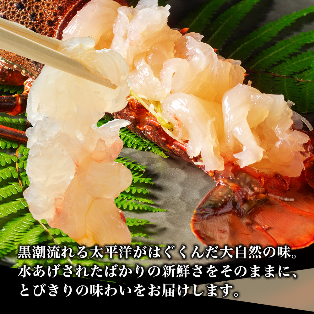 活き 伊勢海老 Ｂコース 3〜4尾 約800〜850g 山金商店 伊勢えび エビ 高級 グルメ 焼き物 汁物 海鮮 特産 海の幸 魚介 海老 伊勢志摩産