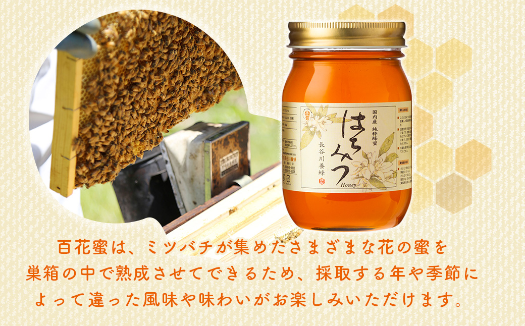 国産 はちみつ 百花蜜 500g×2本入り セット ／ 長谷川養蜂 1kg 非加熱 瓶 希少 純粋はちみつ ハチミツ 蜂蜜 ハニー 三重県 南伊勢町