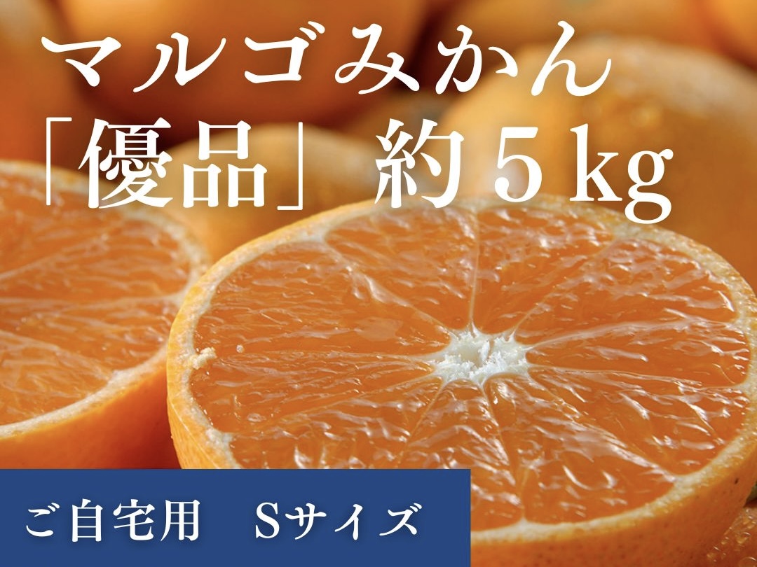 マルゴみかん（温州みかん） 優品 約5ｋｇ （Sサイズ） JA伊勢 ／ 家庭用 送料無料 産地直送 フルーツ 果物 ミカン 先行予約 三重県 南伊勢町