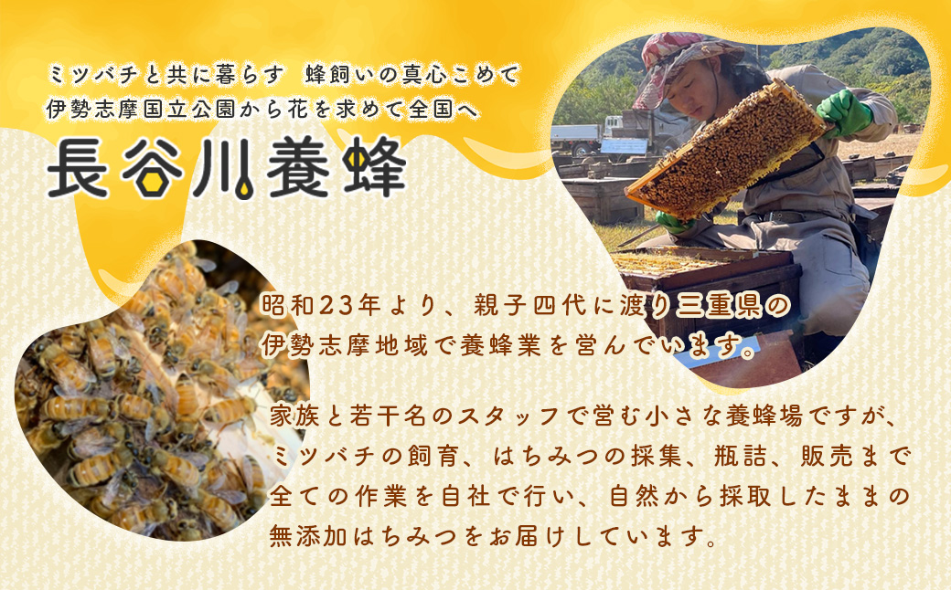 国産 はちみつ 百花蜜 500g×2本入り セット ／ 長谷川養蜂 1kg 非加熱 瓶 希少 純粋はちみつ ハチミツ 蜂蜜 ハニー 三重県 南伊勢町