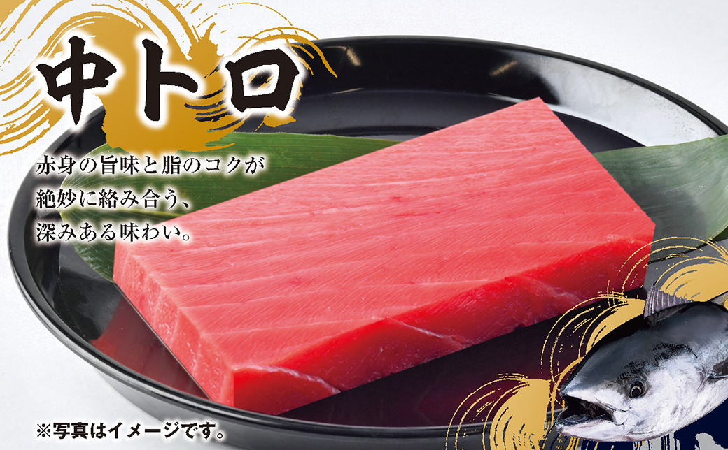 マグロ 詰め合わせ 900g 本まぐろ 本鮪 刺身 刺し身 マグロ丼 海鮮丼 大トロ 中トロ トロ 赤身 国産 養殖 みえまぐろ 三重 南伊勢町 伊勢 志摩