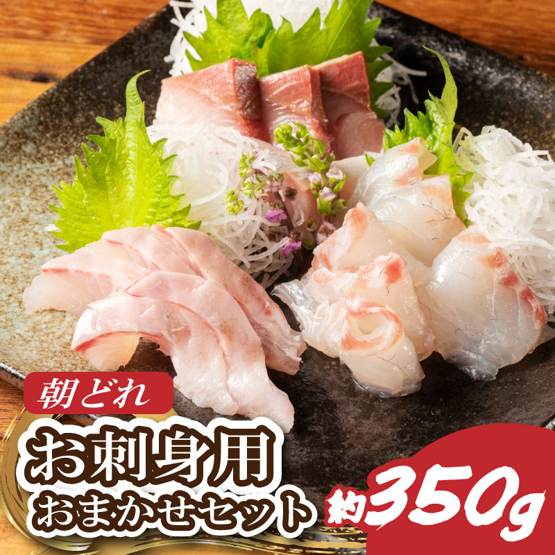 （冷蔵） お刺身 おまかせ セット ２ 〜 ３種 約 350ｇ 城水産 朝どれ 刺身 刺し身 鯛 タイ 鰤 ブリ 鮪 マグロ 平昌 ヒラマサ 勘八 カンパチ シマアジ ヒラメ 新鮮 魚 魚介 海鮮 海産物 国産 三重 南伊勢 伊勢志摩