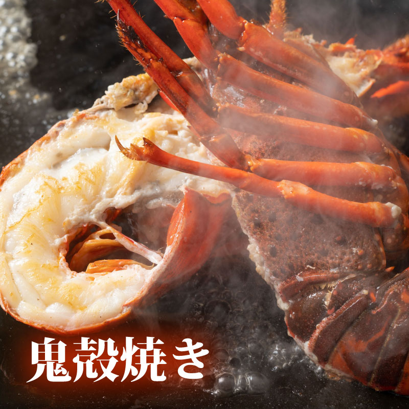 【冷凍】 伊勢海老 4尾 〜 6尾 約 1kg 活〆 山藤 えび 海老 ebi いせえび 伊勢えび 伊勢 魚 魚介 海鮮 海産物 海 特産品 うま味 旨味 海の幸 アウトドア BBQ 刺身 炭火焼 産地直送 国産 三重 南伊勢 伊勢志摩