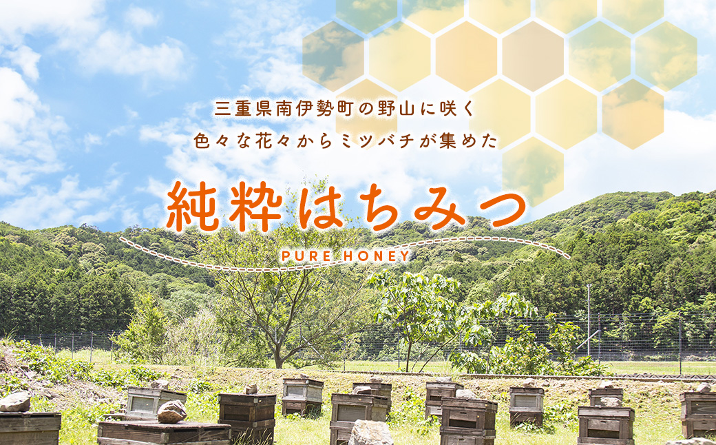 国産 はちみつ 百花蜜 500g×2本入り セット ／ 長谷川養蜂 1kg 非加熱 瓶 希少 純粋はちみつ ハチミツ 蜂蜜 ハニー 三重県 南伊勢町