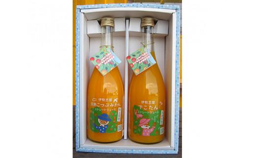 南伊勢　みかん　ストレートジュースセット／蜜柑　フルーツ　デコタン　柑橘類　特産　三重県　伊勢志摩産