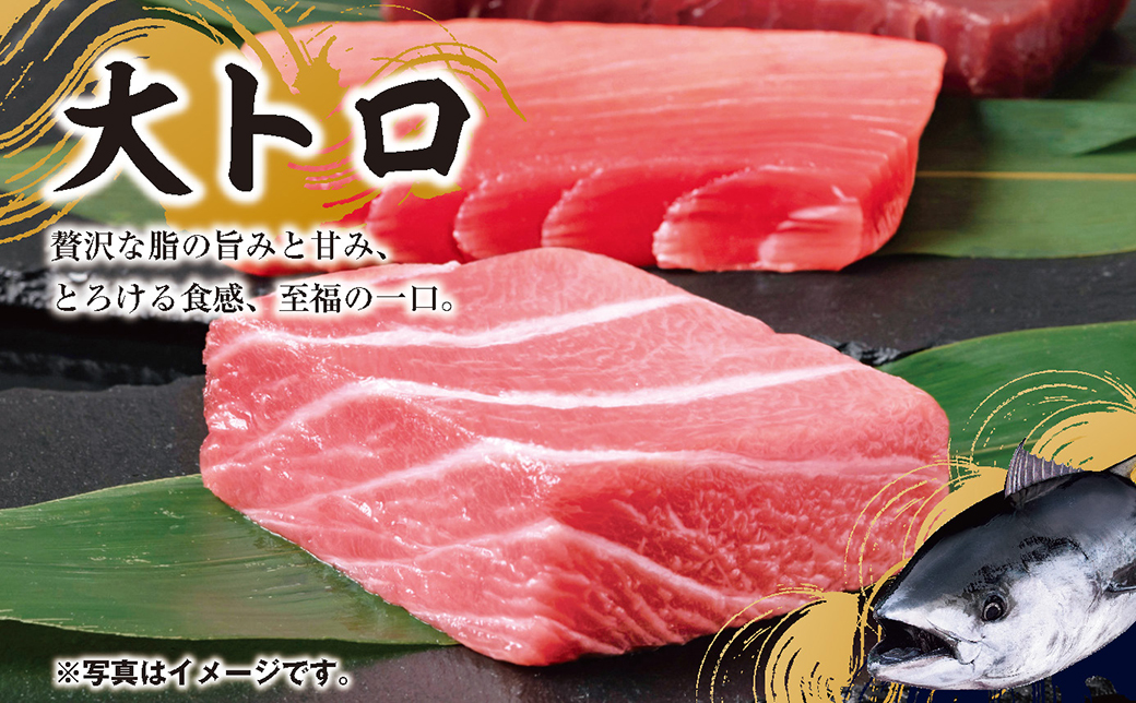マグロ 詰め合わせ 600g 本まぐろ 本鮪 刺身 刺し身 マグロ丼 海鮮丼 大トロ 中トロ トロ 赤身 国産 養殖 みえまぐろ 三重 南伊勢町 伊勢 志摩