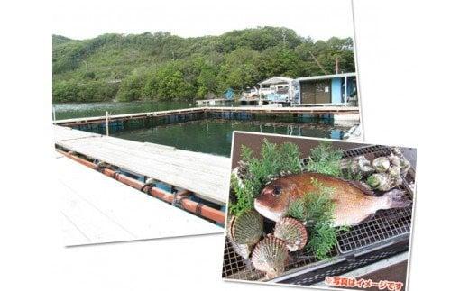 すみちゃんの釣り堀 お土産付 ペア 5回分 ／ 伊勢志摩 すみちゃん 釣り堀 城水産 ふるさと納税 利用券 寄付 おすすめ 魚 筏釣り 釣りフィッシング つりぼり 三重県 南伊勢