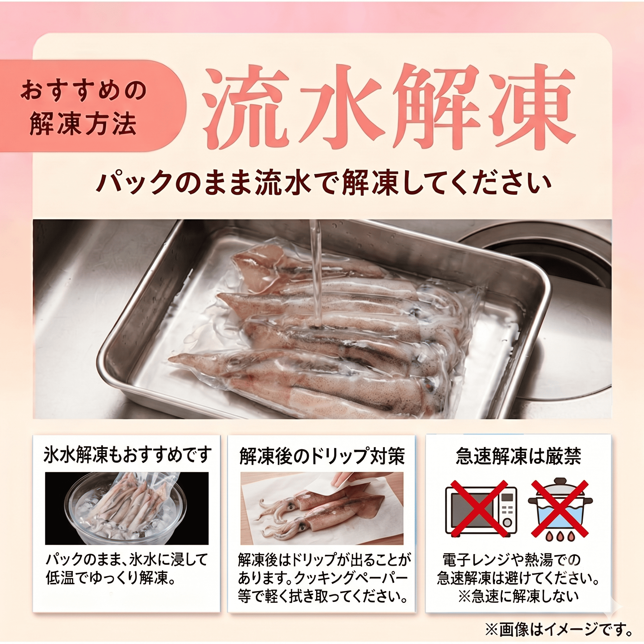( å·å ) ã¹ã«ã¡ã€ã« 1kg ãã éä» æµ·é®® åºèº« çè³ ç£å°çŽé ç空ãã㯠äžé åäŒå¢çº äŒå¢ å¿æ© 倿¹ŸæŒæ¥ååçµå